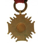 Brązowy Krzyż Zasługi RP Caritas/Grabski (213)