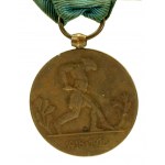 Medaila k desiatemu výročiu nezávislosti s ocenením, 1929 (218)