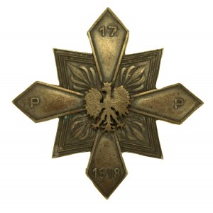 II RP, Odznaka 17 Pułk Piechoty, Rzeszów (260)