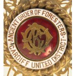 Sash of the President of the Ancient Order of Foresters of the Cardiff District 1903r (707)