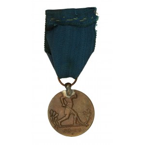 Druhá republika, medaila k 10. výročiu znovuzískania nezávislosti (305)