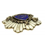 II RP, Odznaka 78 Pułk Piechoty, Baranowicze (404)