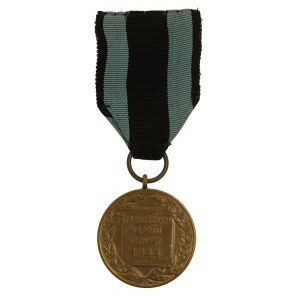 Brązowy Medal Zasłużonym na Polu Chwały, Krasnokamsk (816)