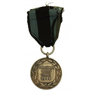 Srebrny Medal Zasłużonym na Polu Chwały, Krasnokamsk (817)