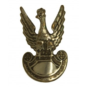 Adler der polnischen Armee wz 19, Untergrund (856)