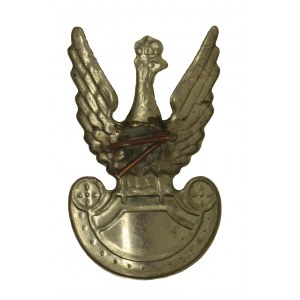 Adler der polnischen Armee wz 19, Untergrund (856)