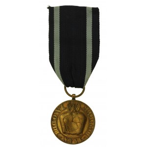 Medal za Odrę, Nysę i Bałtyk 1946 - PIERWSZA WERSJA. (355)