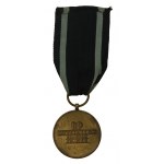 Medal za Odrę, Nysę i Bałtyk 1946 - PIERWSZA WERSJA. (355)