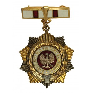 PRL, Odznaka Zasłużony dla Kultury Narodowej. Rzadka (374)
