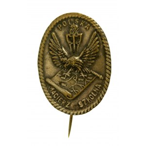 Polish Educational Society patriotic badge (21)