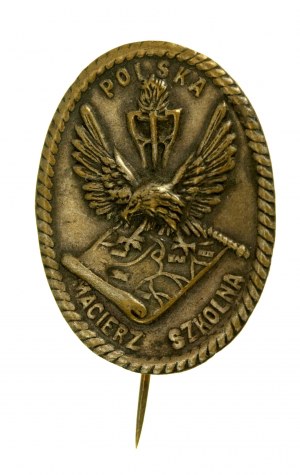 Polish Educational Society patriotic badge (21)