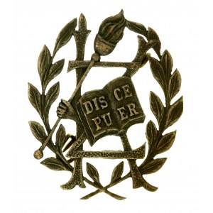 Odznaka szkolna Lwów (24)