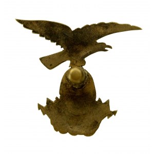 Badge of the Falcon, Second Republic (32)