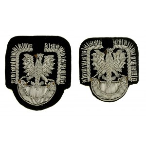 Two LWP embroidered aviation eagles (41)