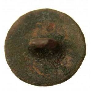 Button of the 11th infantry regiment of the Duchy of Warsaw (54)