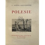 WONDERS OF POLAND - POLESIE