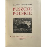 CUDA POLSKI - PUSZCZE POLSKIE - ŁADNY EGZ.