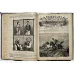 ILLUSTRATED WEEKLY 1882 - NICE COPY.