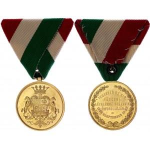Hungary Medal for the 100th Anniversary of the Founding of Timisoara as a Free Royal City 1882