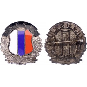Slovakia SUSR Badge 1939 - 1945