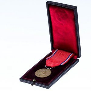 France Verdun Bronze Medal II Type 1916