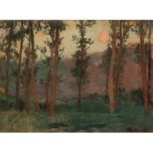 Tadeusz Makowski (1882 Osvětim - 1932 Paříž), Krajina se stromy, asi 1908.