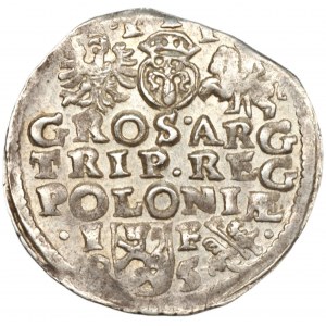 Sigismund III. Wasa (1587-1632) - Die Troika von Lublin 1595