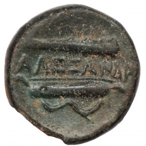 Macedonia, AE 20, Aleksander III Wielki 336 - 323 r. p.n.e.