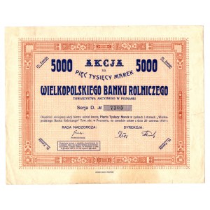 WIELKOPOLSKI Bank Rolniczy - 5000 mkp 1919r