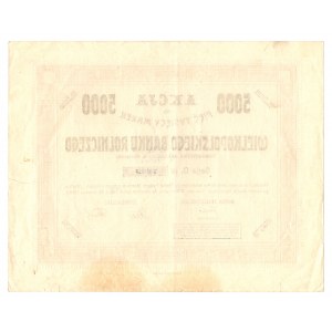 WIELKOPOLSKI AGRICULTURAL BANK - 5000 mkp 1919