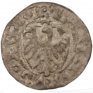 Kazimierz IV Jagiellończyk (1446-1492) Szeląg Gdańsk bez daty