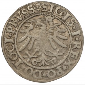 Zygmunt I Stary (1506-1548) - Grosz Elbląg 1533