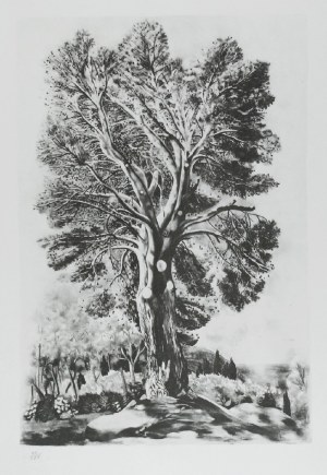 MOJŻESZ KISLING (1891-1953), Drzewo