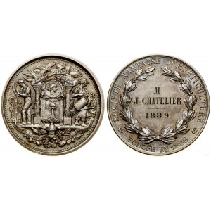 France, award medal, 1889