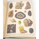 WERMIŃSKI - PŘÍRODOPIS V OBRAZECH Botanika a mineralogie 269 barevných obrázků 1893 FOLIO