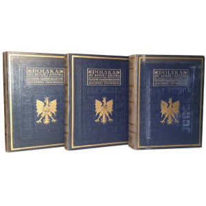 POLSKA JEJ DZIEJE I KULTURA vol. I-III [set] original, rare binding variant