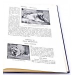 CORNISCH- SVET ZVIERAT I.-II. diel stovky ilustrácií PUGET COVER
