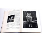 CORNISCH- SVET ZVIERAT I.-II. diel stovky ilustrácií PUGET COVER
