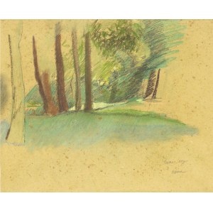 THOMAS COREY (New York, 1950): Wooden landscape