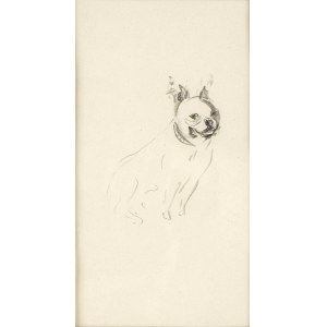 MARILÙ EUSTACHIO (Merano, 1934): French bulldog