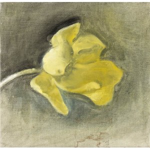 DIETER KOPP (Prien am Chiemsee, 1939 - Rome, 2022): Yellow narcissus, 1986