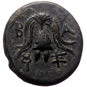 Kings of Macedon, Antigonos I Monophthalmos. (king, 306/5-301 BC) AE Unit (Bronze, 16mm, 3.84g) Salamis, Struck under De