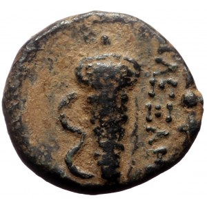 Kings of Macedon, Alexander III 'the Great', AE, (Bronze, 1.39 g 11 mm), 336-323 BC. Macedonian mint.