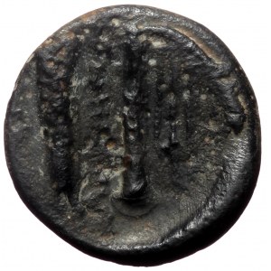 Kings of Macedon, Alexander III 'the Great', AE, (Bronze, 1.31 g 12 mm), 336-323 BC. Macedonian mint.