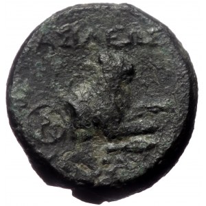Kings of Thrace (Macedonian). Lysimachos, AE, (Bronze, 2.48 g 13 mm), 305-281 BC.