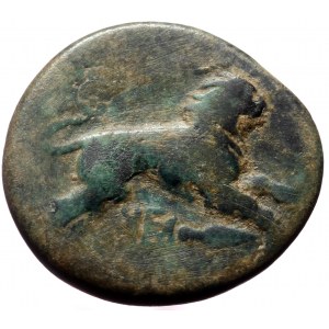 Kings of Thrace (Macedonian). Lysimachos, AE, (Bronze, 4.61 g 19 mm), 305-281 BC. Lysimacheia.