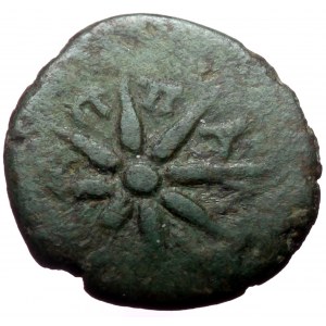 Kimmerian Bosporos, Pantikapaion AE (Bronze, 2,10g, 12mm) ca 109-105 BC.
