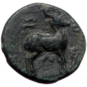 Troas, Zeleia, AE, (Bronze, 2.10 g 14 mm), 4th century BC.
