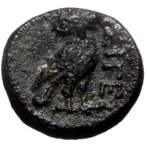 Troas, Sigeion, AE, ( Bronze, 2.18 g 12 mm), 4th century BC.
