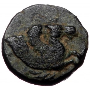 Troas, Skepsis, AE,(Bronze, 0.72 g 9 mm), 4th-3rd centuries BC.